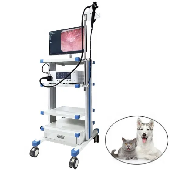 Portatile flessibile piccolo animale domestico gatto cane cane veterinario veterinario gastroscopio