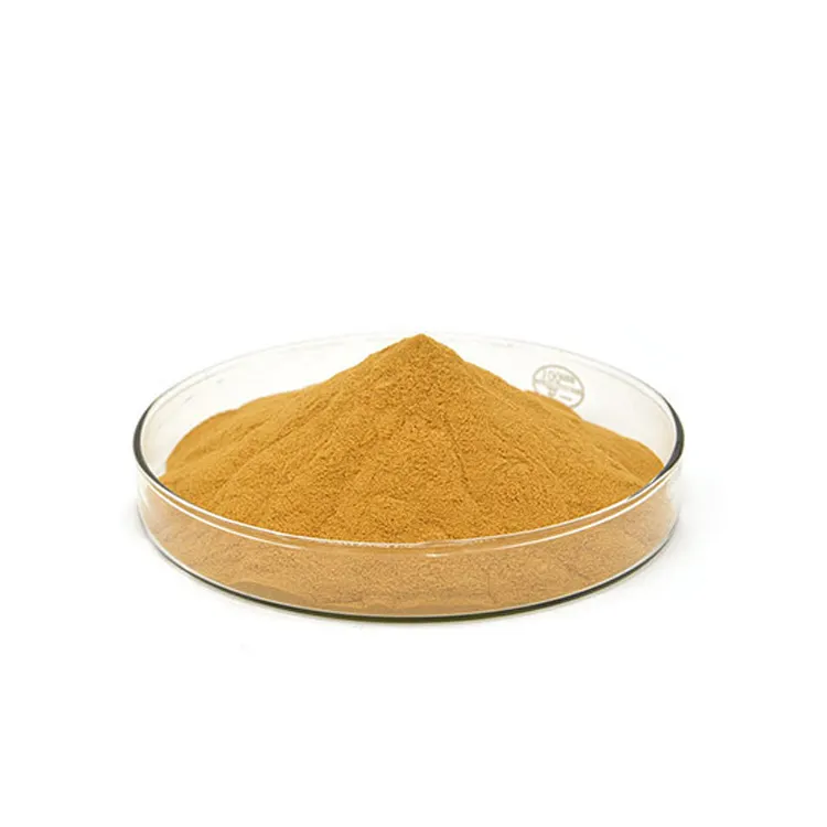 Hersteller Lieferung von schwarzem Cohosh-Wurzel extrakt 8% Triterpen glykosid pulver