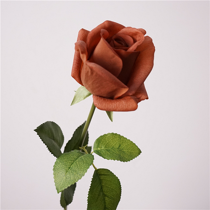 Single-sprig kate rose-mousse