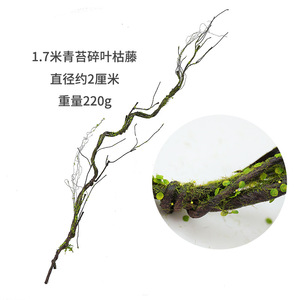 屋外オフィスの結婚式のための植物の装飾をぶら下げている苔と卸売人工木の樹皮-草の花の低木をフィーチャー