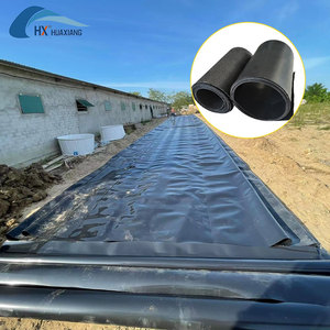 Yeni malzemeler ile en kaliteli fabrika yapımı HDPE geomembran 0.2mm-3.0mm gölet Liner - Product Image 4