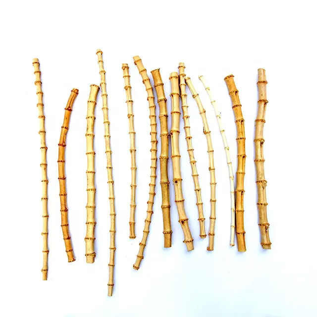 中国産竹根、竹根杖、天然根根茎