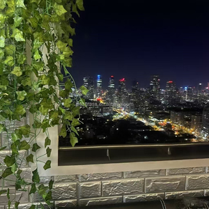 Ngoài trời Nhân Tạo Màu Xanh Lá Cây Lá Nho nho trần trang trí mô phỏng mây nhựa cây leo vướng víu giả hoa cỏ hàng rào - Product Image 6