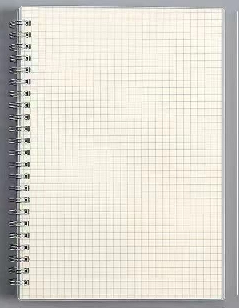 Pagina interna con griglia bianca