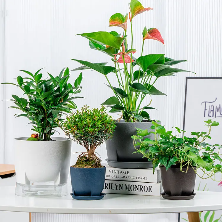 Macetas de jardín bonitas para oficina perezosa redonda maceta de plástico para bonsái flor plantas de interior macetas de plantas de riego automático