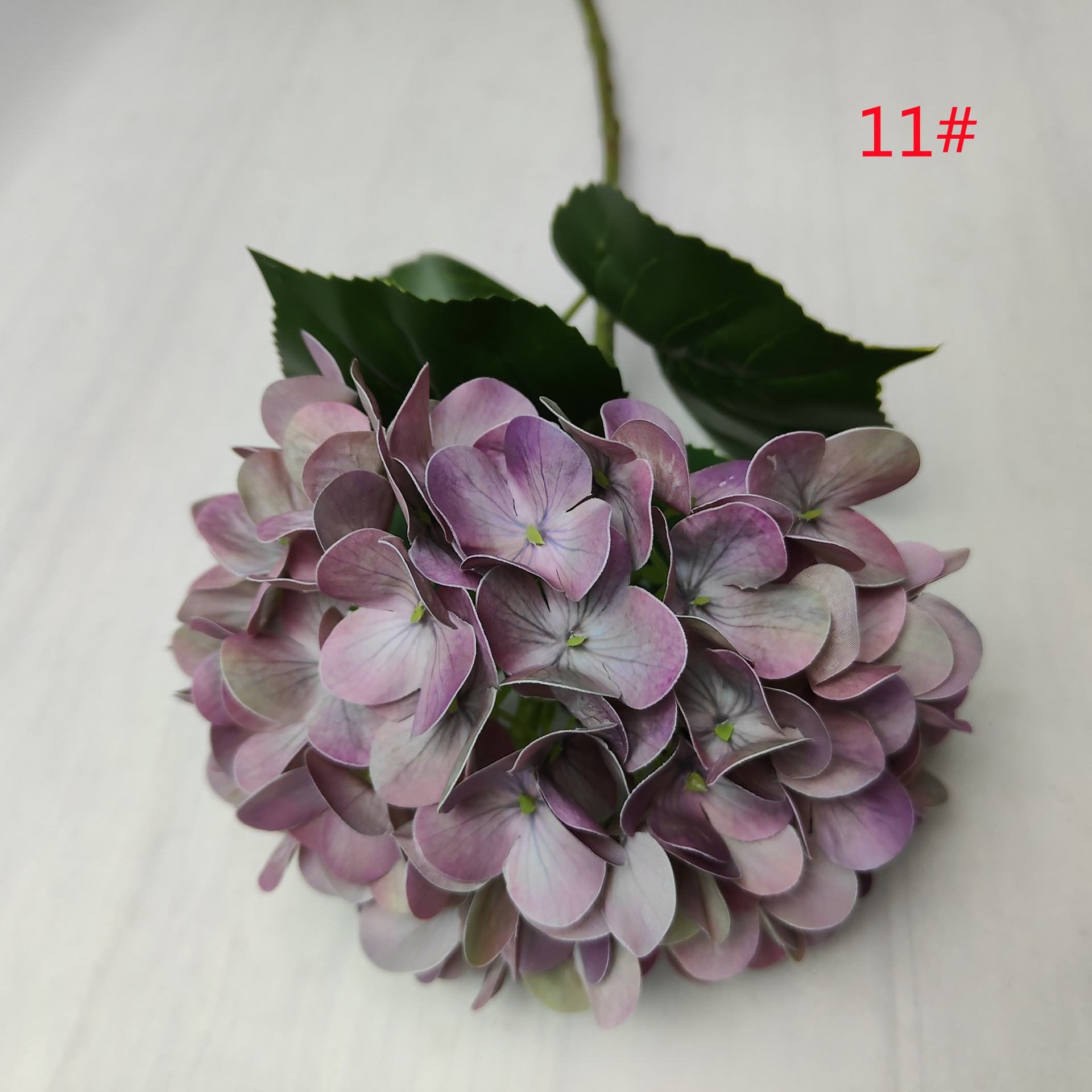 Purple 6