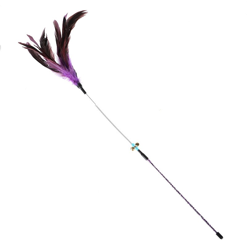 Viola