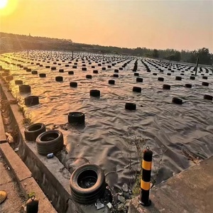 <strong>HDPE</strong>/LDPE/LLDPE Geomembrane for Environmental Protection Isotation Anti-Seepage Waterproof - Product Image 2