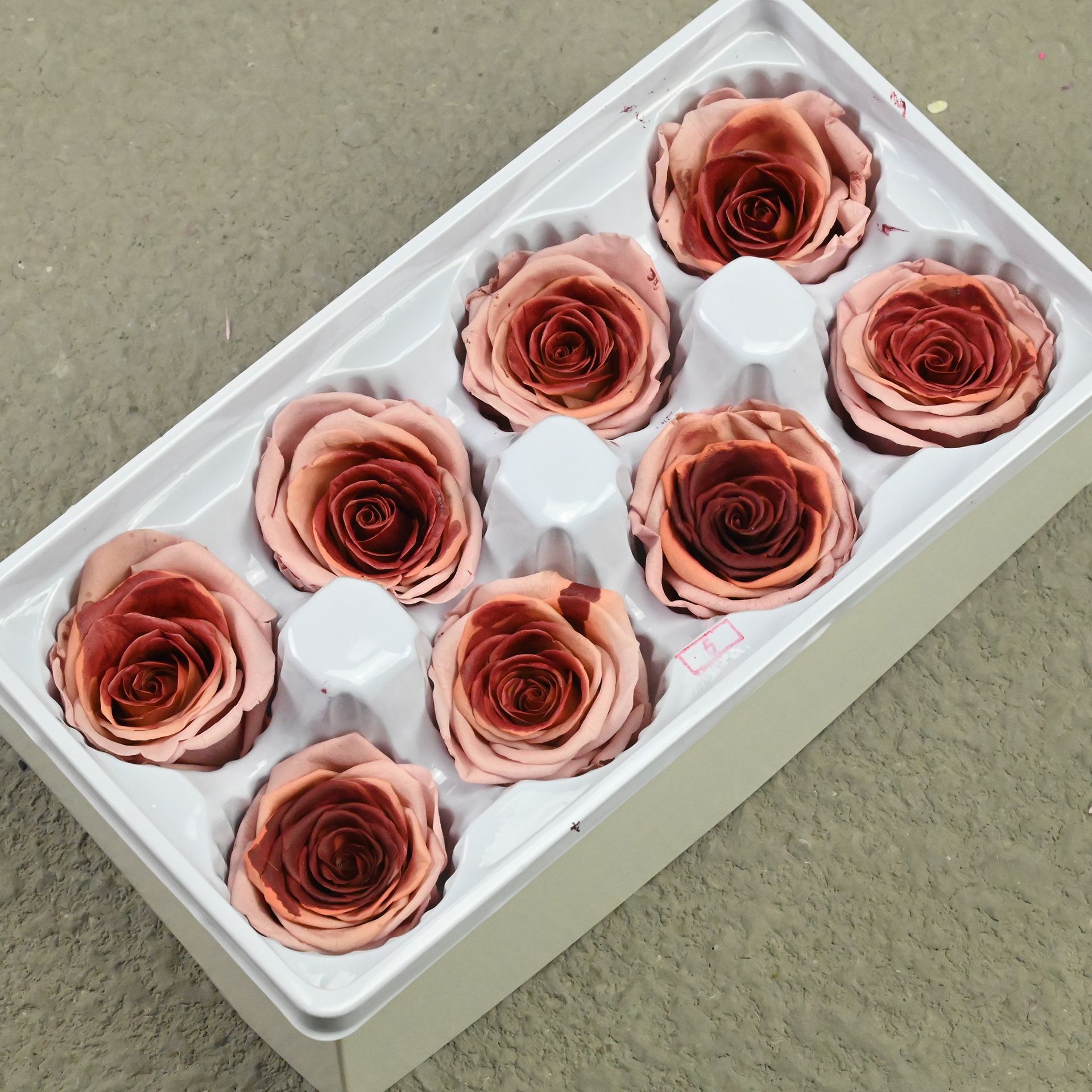 B rose 4-5 color matching 0070
