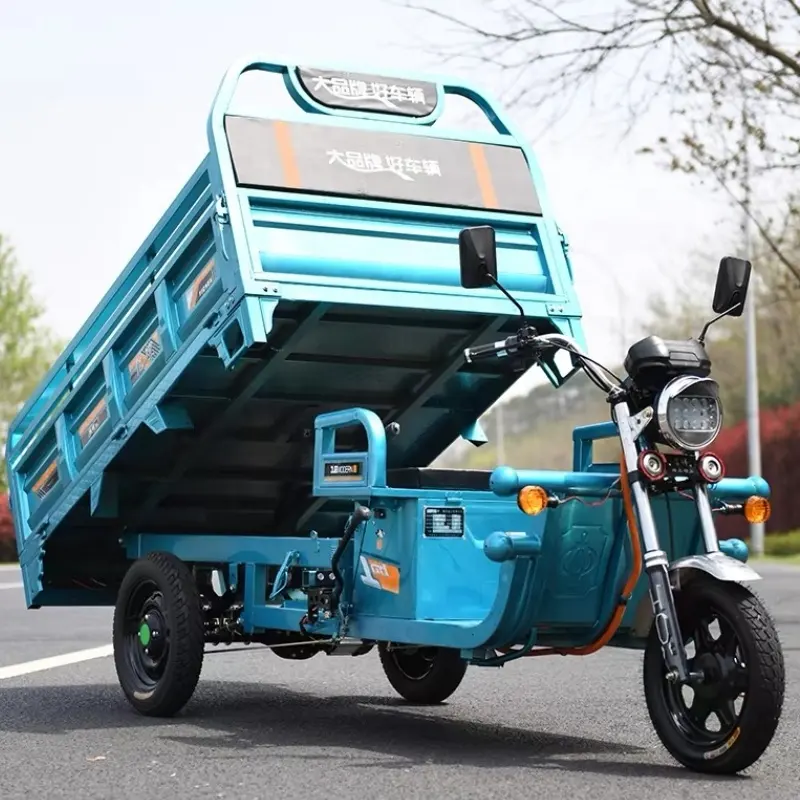 安いe-Trikes3輪貨物電動三輪車オートバイ3輪大人用カーゴバイク電動三輪車大人用