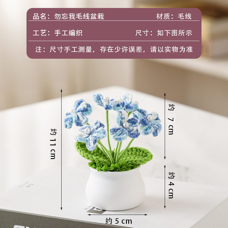 Gradient blue forget-me-not potted plant