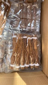 Hong Shen Xu RADIX GINSENG RUBRA乾燥韓国紅参散在根