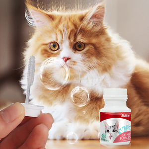 High Quality <strong>Catnip</strong> Pure <strong>Catnip</strong> Oil Relax and Relieve Stress Bubbles <strong>Safe</strong> <strong>Catnip</strong> Bubbles