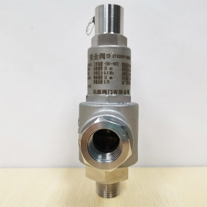 -196 Degree Stainless Steel 304 1/2inch 5Mpa NPT Cryogenic Relief <strong>Valve</strong> <strong>Spring</strong> Loaded <strong>Safety</strong> <strong>Valve</strong> For LOX