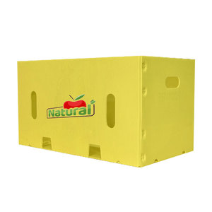 Geri dönüşüm ambalaj kutusu oluklu kutu ambalaj Pp şeffaf plastik saklama kabı - Product Image 2