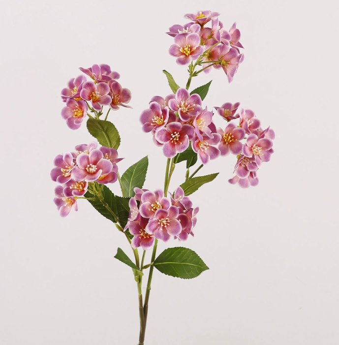 Viola chiaro