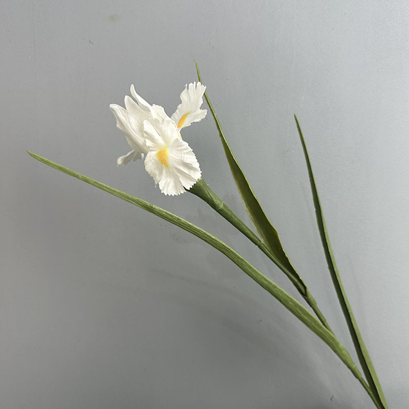 #1 white