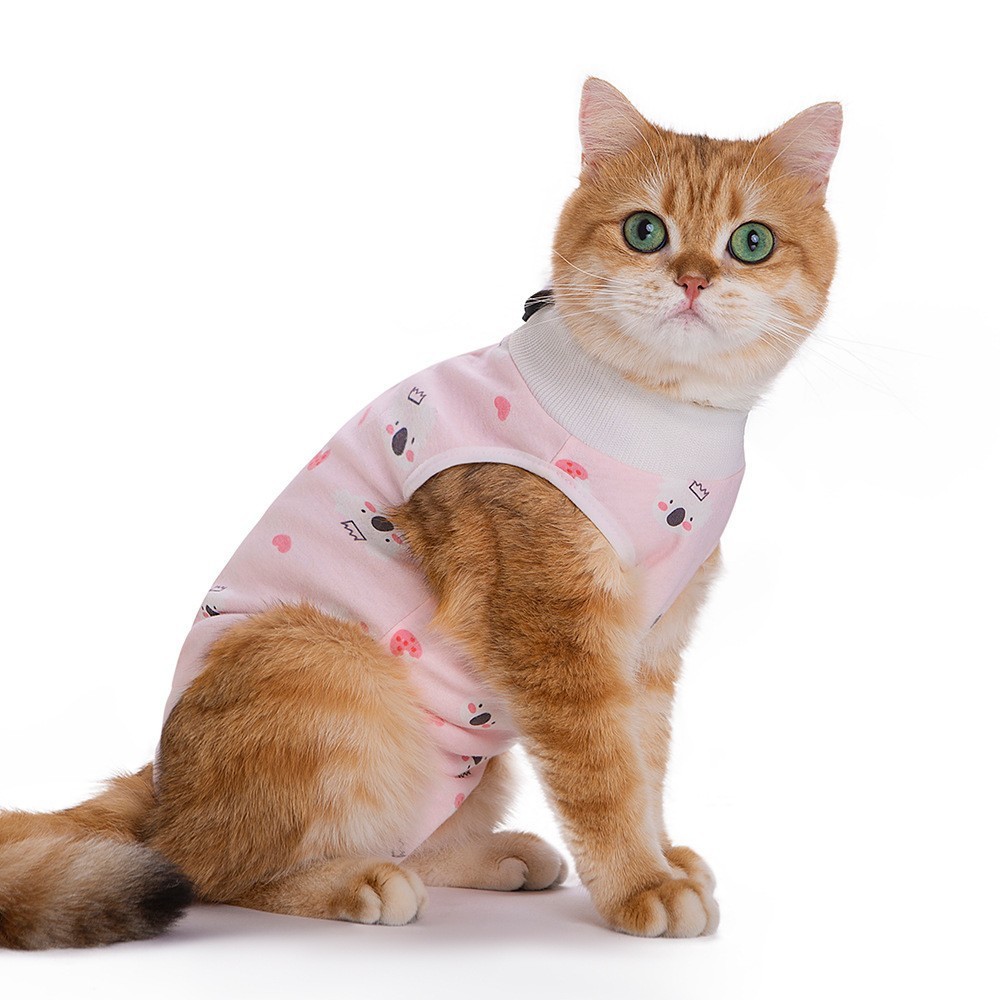 Pet physiological pants-pink base koala