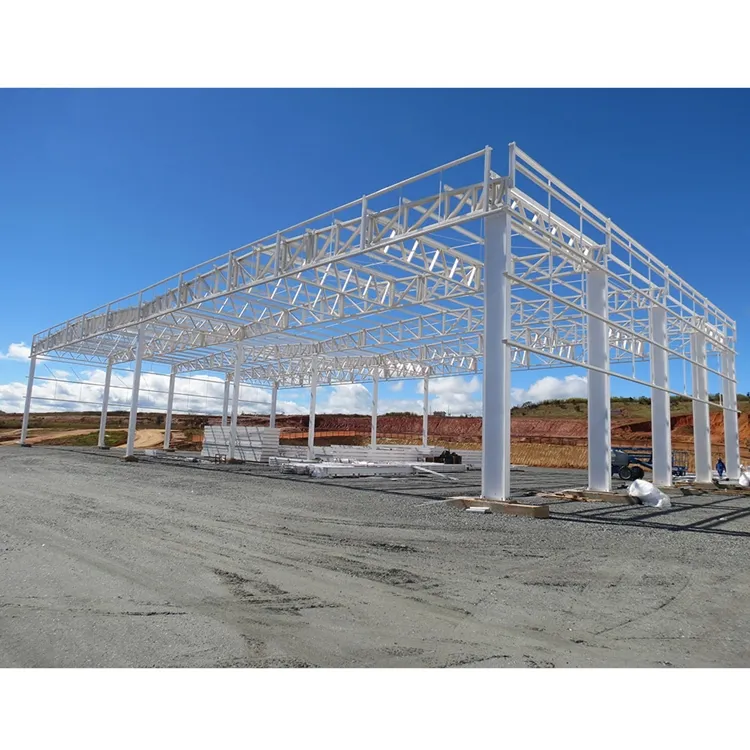 A basso costo prefabbricati luce struttura in acciaio aeromobili hangar per la vendita