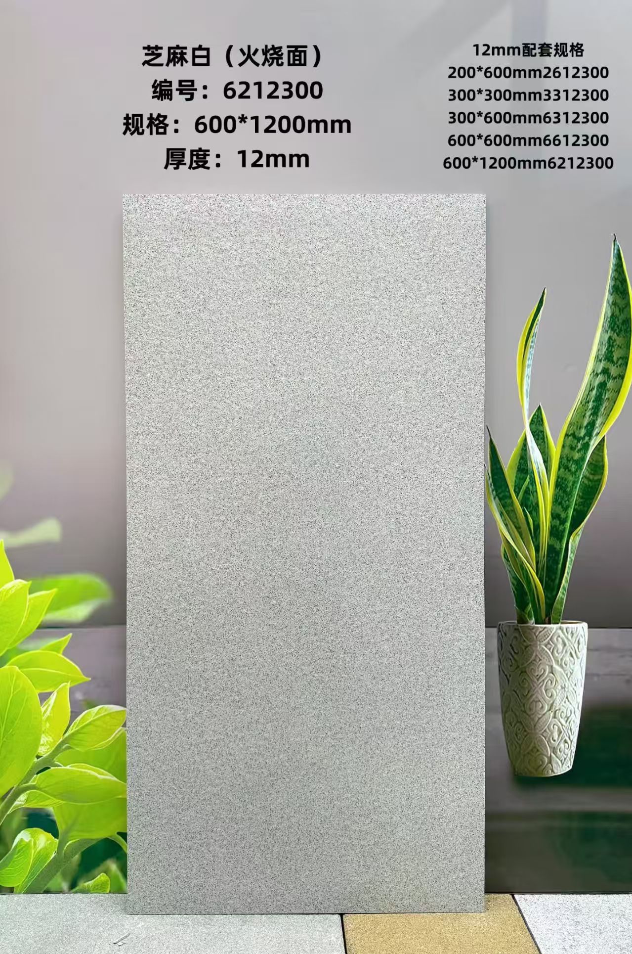 6212300