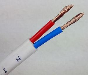 Best Choice H03VH-H H03VV-<strong>F</strong> <strong>H03VVH2</strong>-<strong>F</strong> H05 VVH2-<strong>F</strong> PVC Insalated PVC Sheated Twin <strong>Flat</strong> <strong>Cable</strong> 4 Mm2 - Product Image 6