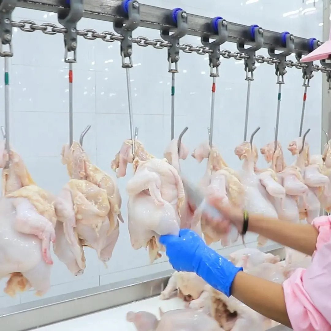 Qingdao Raniche Butchery Prezzi Attrezzature di Pulizia Trasportatore Macchina di Pollo Macellaio