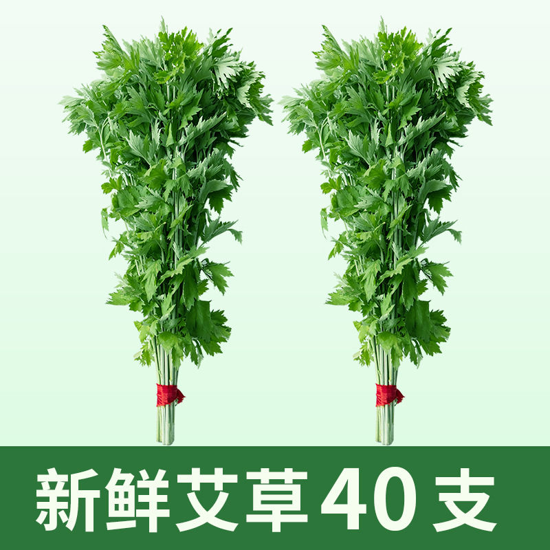 40 tiges de mugwort fraîches (2 bottes)