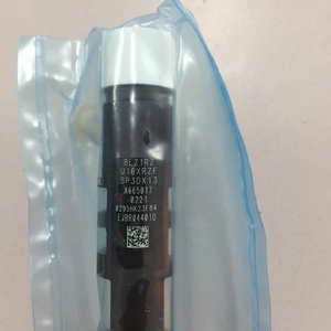 EJBR04401D High Quality Diesel Fuel <strong>Injector</strong> for Delphi Ssangyong - Product Image 6