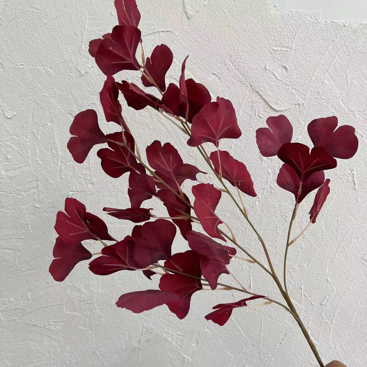 #7 feuilles de ginkgo biloba
