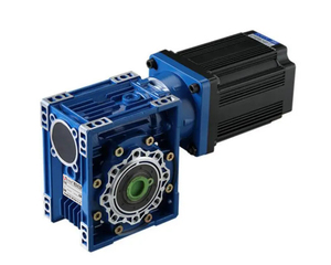 12V 24v 110v Dc电动永磁电机3000转/分1500转/分24v直流电机150w 300W带蜗轮变速箱