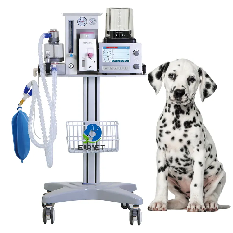 EUR PET動物用獣医麻酔機用の優れた品質の診断機器
