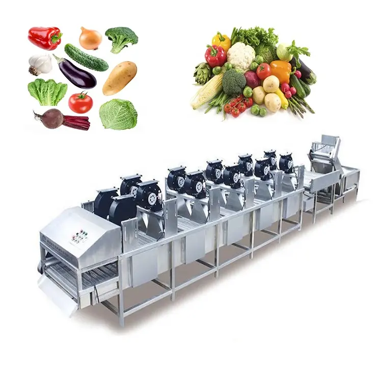 Máquina de procesamiento Industrial completo de vegetales y hojas frescas, línea con equipo de lavado y secado de corte, lavadora de frutas