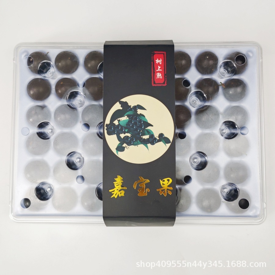Fruit Jaboticaba transparent, 48 pièces par boîte, 10 boîtes intérieures