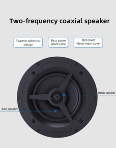 CS-2无线WiFi蓝牙天花板扬声器，配有WiFi 2.4G和5G/BT 5.0/USB/AUX，适用于家庭影院/派对 - Product Image 5