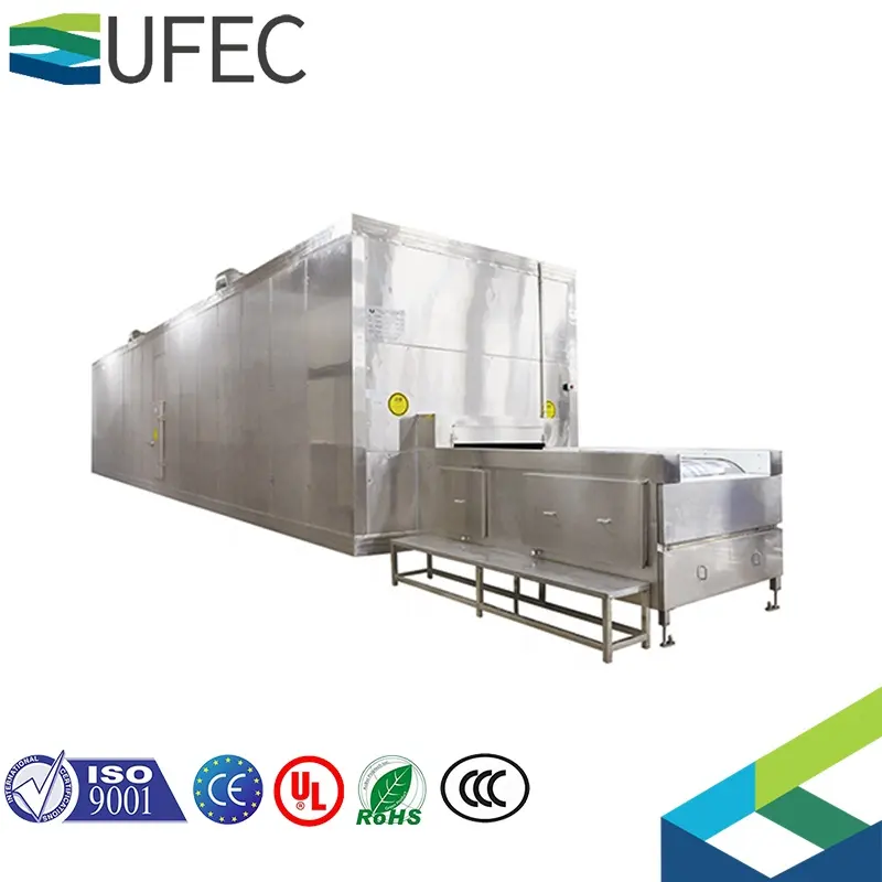 100kgs all'ora capacità industriale frutta e verdura congelatore rapido congelatore macchina di raffreddamento congelatore a tunnel rapido