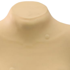ADA Medical Teaching Advanced Breast Examination Model(wearable Design) and Senior Breast Inspection and <strong>Palpation</strong> Model - Product Image 4