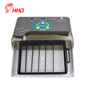 HHD Mini 12 Capacity Auto Turned Egg LED Lighting Function Automatic Chicken Egg Incubators Hatching Machine for Home and Sale - Product Image 6