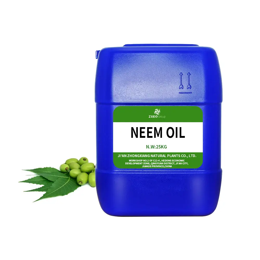 Olio essenziale di semi di Neem puro di buona qualità per l'acquisto all'ingrosso a basso prezzo