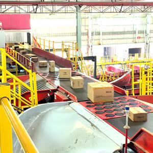 LUHUI sistema logistico automatico inclinato DWS interruttore ruota Sorter magazzino macchina di smistamento automatizzata per la consegna del magazzino - Product Image 5