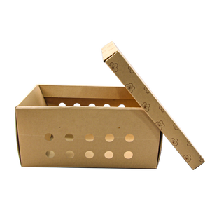 动物运输箱宠物运输箱纸箱宠物运输箱瓦楞耐用刚性纸盒 - Product Image 5