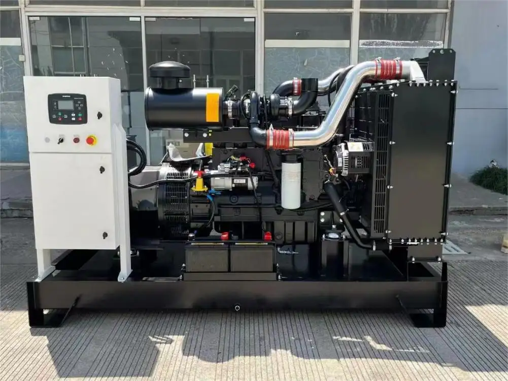 Hecho en China 250 Kva Diesel silencioso Gensets 200kw plantas de energía generador diésel eléctrico con motor Cummins/Perkins