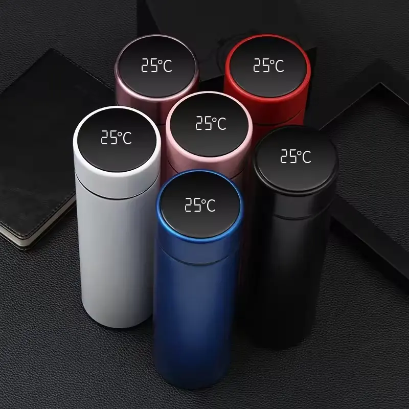 Nuevo termo Digital de 500 ml, botella de agua con pantalla de temperatura inteligente, termo al vacío para conservación del calor, para café, té