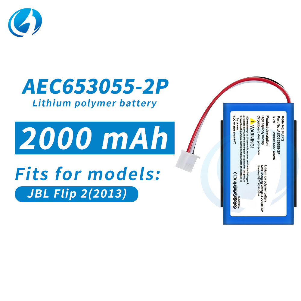 FLIP 2