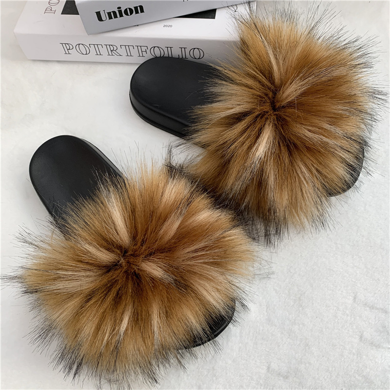Raton laveur naturel