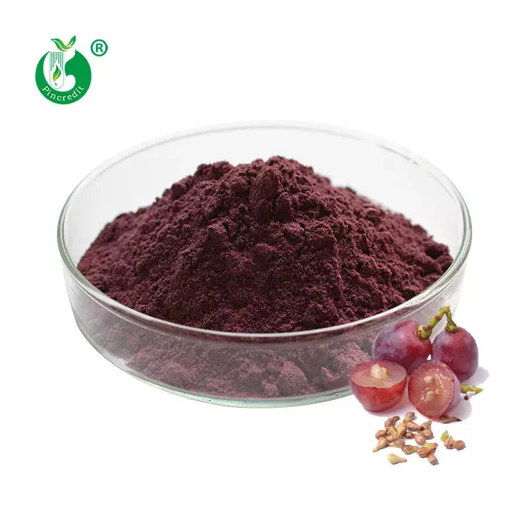 Fabricant en gros de proanthocyanidine naturelle de qualité alimentaire 95% OPC extrait de pépins de raisin