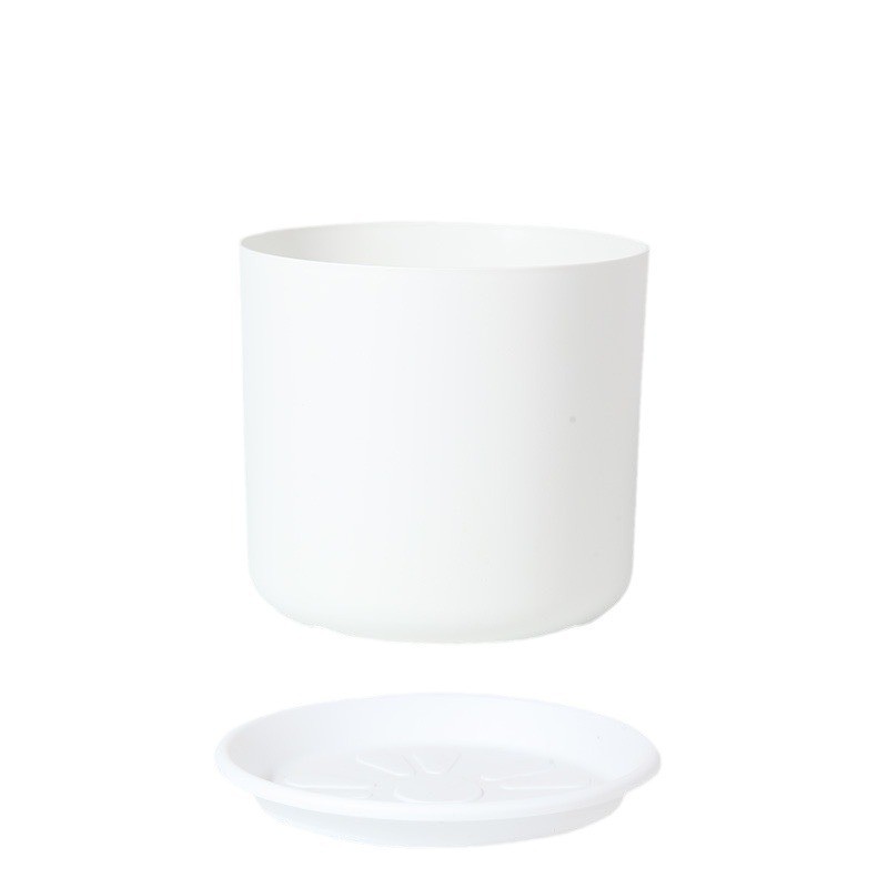 plateau blanc pur