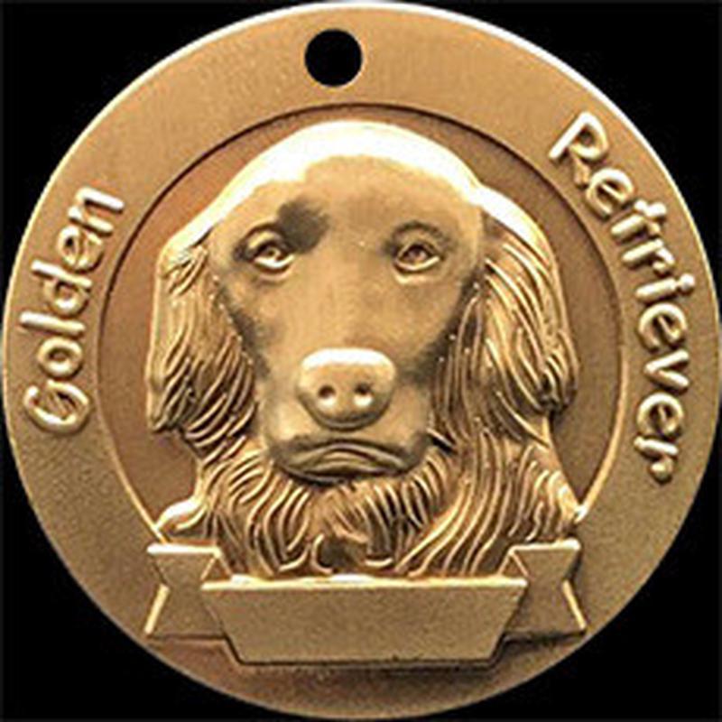 perro perdiguero de oro