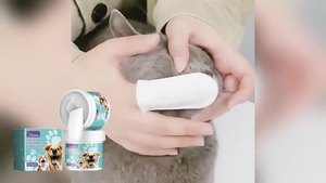 木制狗猫牙齿清洁指帽牙垢去除口腔保湿新鲜宠物刷牙指帽
