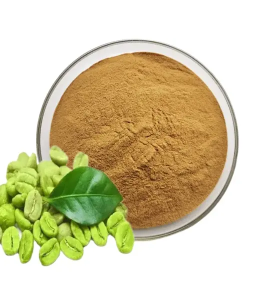 Fornitura verde chicco di caffè estratto in polvere campione gratuito di alta qualità verde chicco di caffè estratto in polvere in vendita