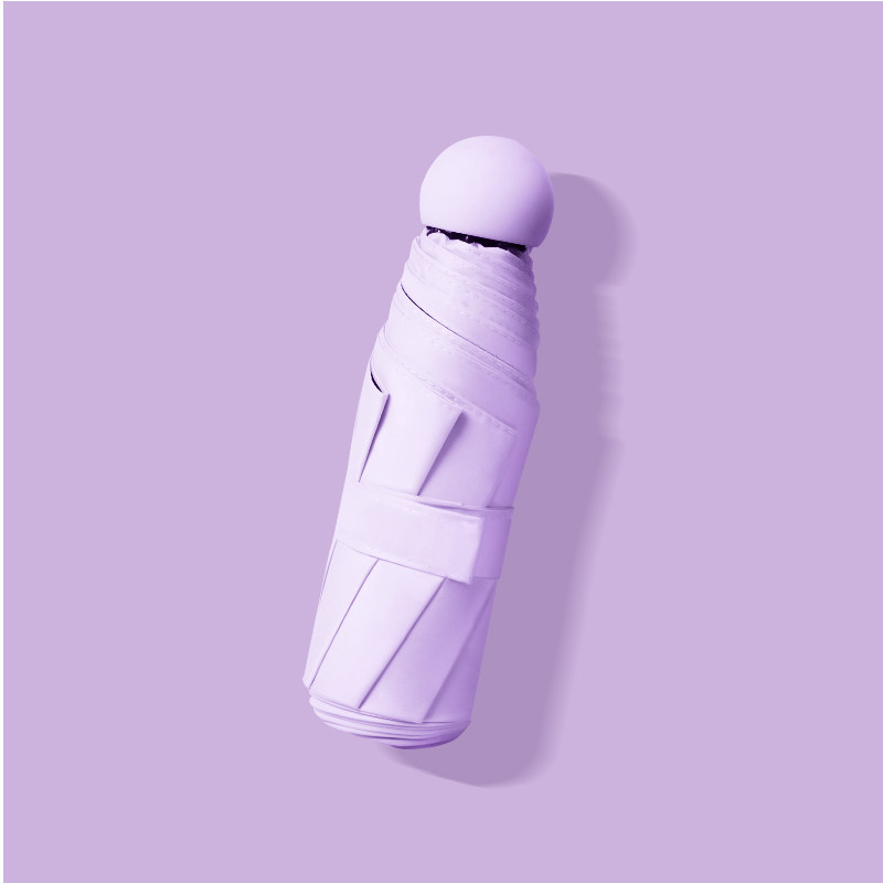 6 bones, 5 folds - Purple